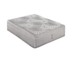 Sealy Hybrid Sage Firm Mattress